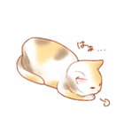 ねこだらけ。（個別スタンプ：4）