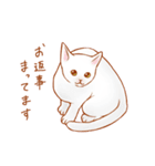 ねこだらけ。（個別スタンプ：10）