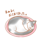 ねこだらけ。（個別スタンプ：20）