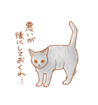 ねこだらけ。（個別スタンプ：37）