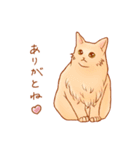 ねこだらけ。（個別スタンプ：39）