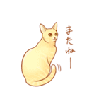 ねこだらけ。（個別スタンプ：40）