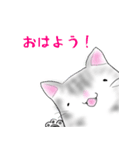 福らしにゃんこ（個別スタンプ：1）