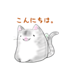 福らしにゃんこ（個別スタンプ：3）