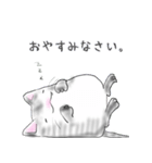 福らしにゃんこ（個別スタンプ：5）