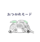 福らしにゃんこ（個別スタンプ：20）