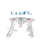 福らしにゃんこ（個別スタンプ：21）
