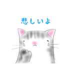 福らしにゃんこ（個別スタンプ：25）