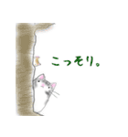 福らしにゃんこ（個別スタンプ：30）