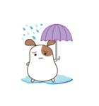 Chubby Hamster（個別スタンプ：21）