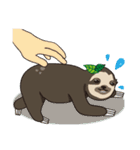 S l o t h（個別スタンプ：5）