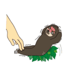 S l o t h（個別スタンプ：38）