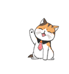 Soidow cat_(MJ)（個別スタンプ：36）