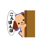 まめ太（個別スタンプ：18）