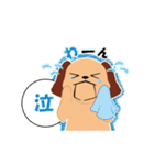 まめ太（個別スタンプ：31）