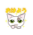ハート猫【めいこ】の日常編（個別スタンプ：1）