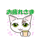 ハート猫【めいこ】の日常編（個別スタンプ：3）