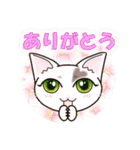 ハート猫【めいこ】の日常編（個別スタンプ：4）