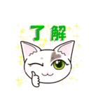 ハート猫【めいこ】の日常編（個別スタンプ：5）