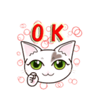 ハート猫【めいこ】の日常編（個別スタンプ：8）