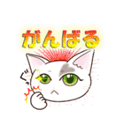 ハート猫【めいこ】の日常編（個別スタンプ：11）