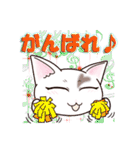 ハート猫【めいこ】の日常編（個別スタンプ：12）