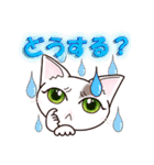 ハート猫【めいこ】の日常編（個別スタンプ：14）