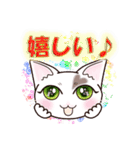ハート猫【めいこ】の日常編（個別スタンプ：16）
