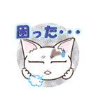 ハート猫【めいこ】の日常編（個別スタンプ：19）