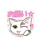 ハート猫【めいこ】の日常編（個別スタンプ：21）