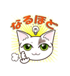 ハート猫【めいこ】の日常編（個別スタンプ：26）