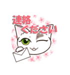 ハート猫【めいこ】の日常編（個別スタンプ：31）
