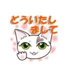 ハート猫【めいこ】の日常編（個別スタンプ：34）