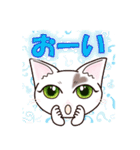 ハート猫【めいこ】の日常編（個別スタンプ：37）
