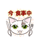 ハート猫【めいこ】の日常編（個別スタンプ：38）