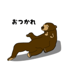 マレーグマのくま五郎（個別スタンプ：1）