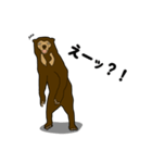 マレーグマのくま五郎（個別スタンプ：2）