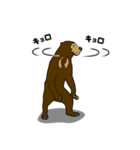 マレーグマのくま五郎（個別スタンプ：12）