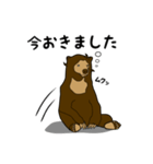 マレーグマのくま五郎（個別スタンプ：17）