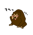 マレーグマのくま五郎（個別スタンプ：39）