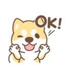 Shiba Inu collection！（個別スタンプ：1）