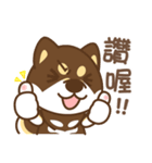 Shiba Inu collection！（個別スタンプ：5）