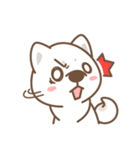 Shiba Inu collection！（個別スタンプ：6）