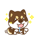 Shiba Inu collection！（個別スタンプ：8）