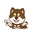 Shiba Inu collection！（個別スタンプ：19）