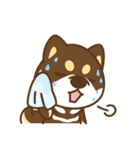 Shiba Inu collection！（個別スタンプ：28）