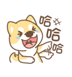 Shiba Inu collection！（個別スタンプ：30）