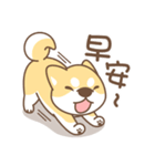 Shiba Inu collection！（個別スタンプ：36）