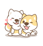 Shiba Inu collection！（個別スタンプ：38）