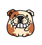 Joy's English Bulldog World (2)（個別スタンプ：1）